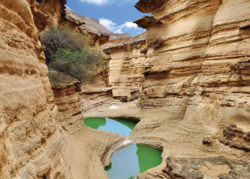 تور قشم