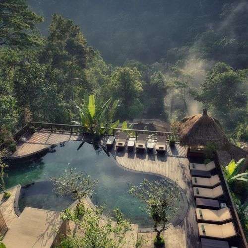 ناندینی جنگل بای هانگینگ گاردنس Nandini Jungle by Hanging Gardens