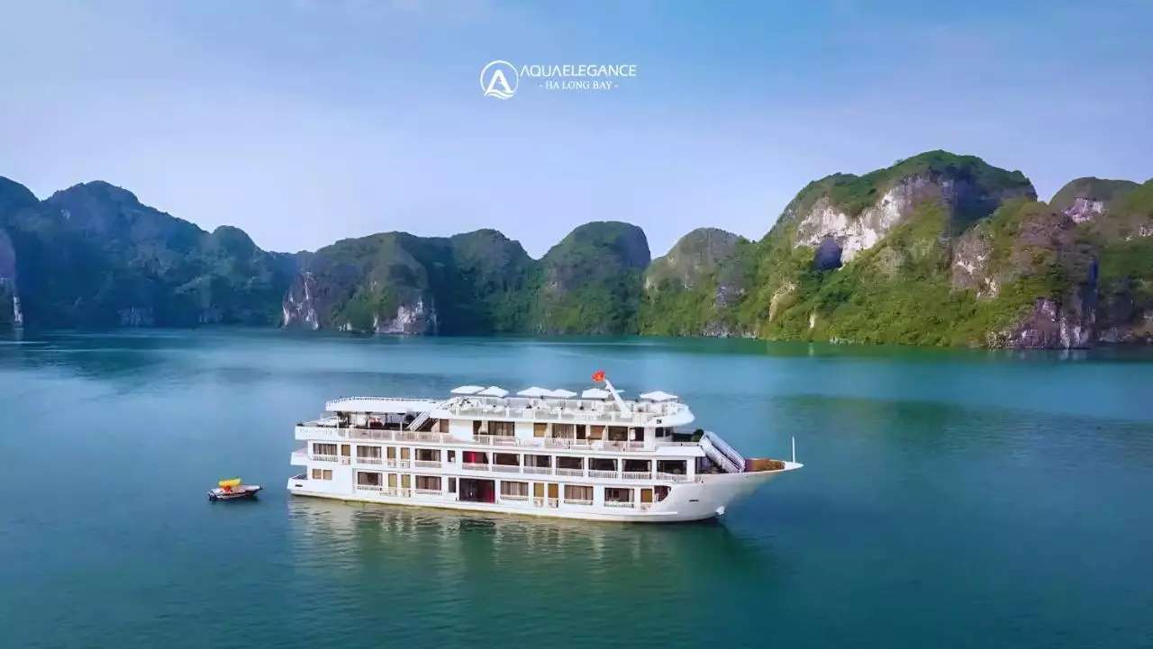 آکو الگانس کروز AQUA ELEGANCE Or similar