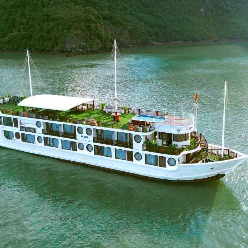 هتل کالیپسو هالونگ بی کروز Calypso Halong Bay hotel